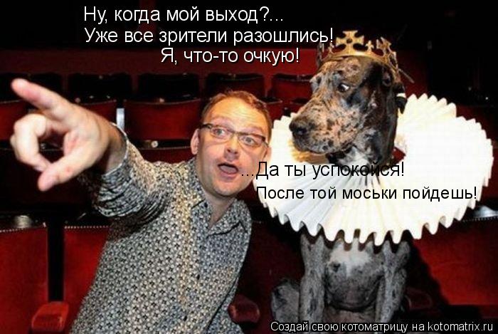Котоматрица: Ну, когда мой выход?... Уже все зрители разошлись! Я, что-то очкую! ...Да ты успокойся! После той моськи пойдешь!