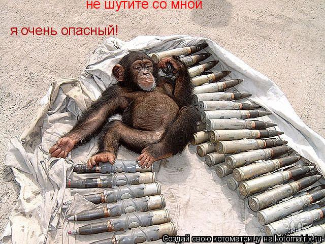 Котоматрица: не шутите со мной я очень опасный!