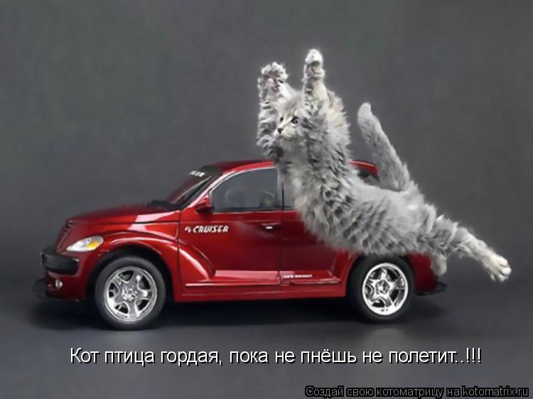 Котоматрица: Кот птица гордая, пока не пнёшь не полетит..!!!