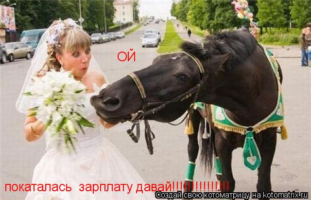 Котоматрица: покаталась  зарплату давай!!!!!!!!!!!!!!! ОЙ