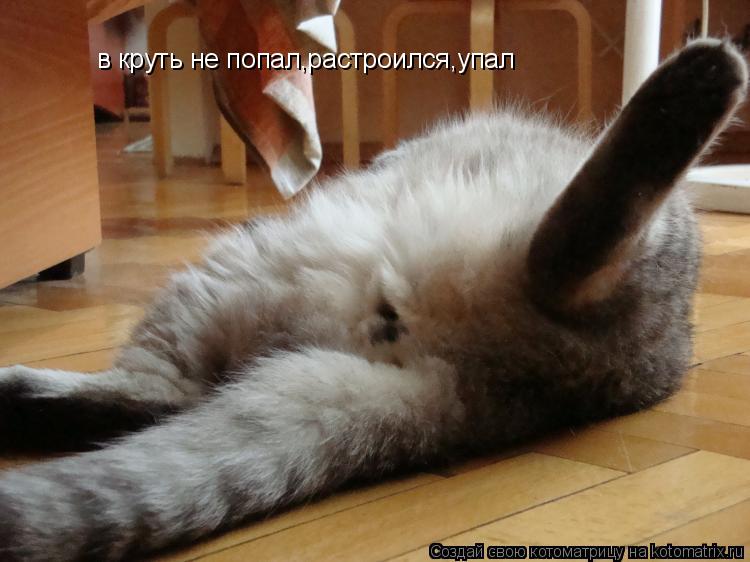 Котоматрица: в круть не попал,растроился,упал