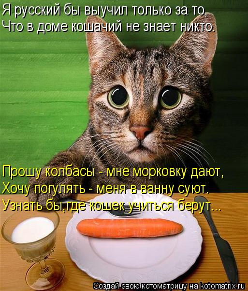 Я русский бы выучил только за то, Хочу погулять - меня в ванну суют. Узнать бы,где кошек учиться беру... Котоматрица: Я русский бы выучил только за то, Хочу погулять - меня в ванну суют. Узнать бы,где кошек учиться берут... Прошу колбасы - мне морковку дают, Что