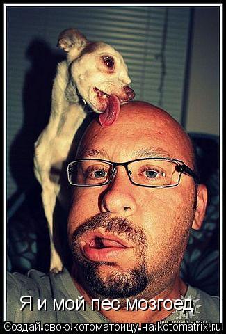 Котоматрица: Я и мой пес мозгоед