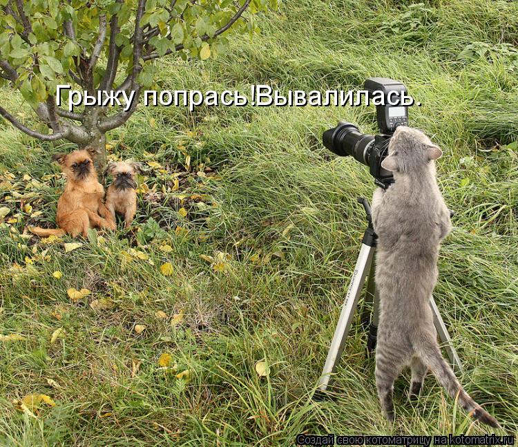 Котоматрица: Грыжу попрась!Вывалилась.