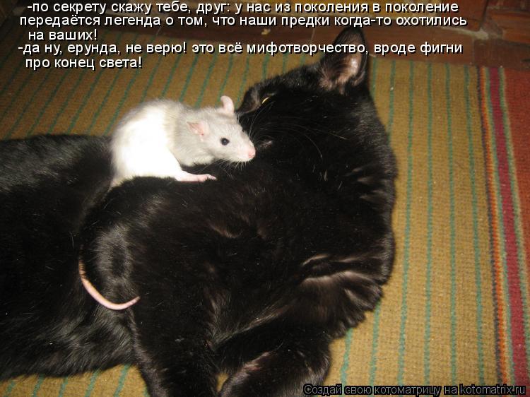 Котоматрица: -по секрету скажу тебе, друг: у нас из поколения в поколение передаётся легенда о том, что наши предки когда-то охотились  на ваших! -да ну, еру