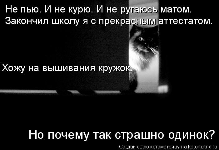 Котоматрица: Не пью. И не курю. И не ругаюсь матом.  Закончил школу я с прекрасным аттестатом. Хожу на вышивания кружок. Но почему так страшно одинок?