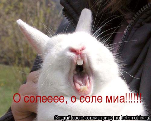 О солееее, о соле миа!!!!!!... Котоматрица: О солееее, о соле миа!!!!!!