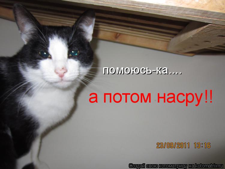 Котоматрица: помоюсь-ка.... а потом насру!!