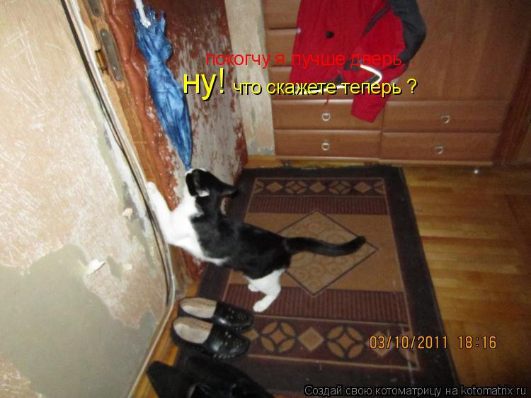 Котоматрица: покогчу я лучше дверь... ну! что скажете теперь ?
