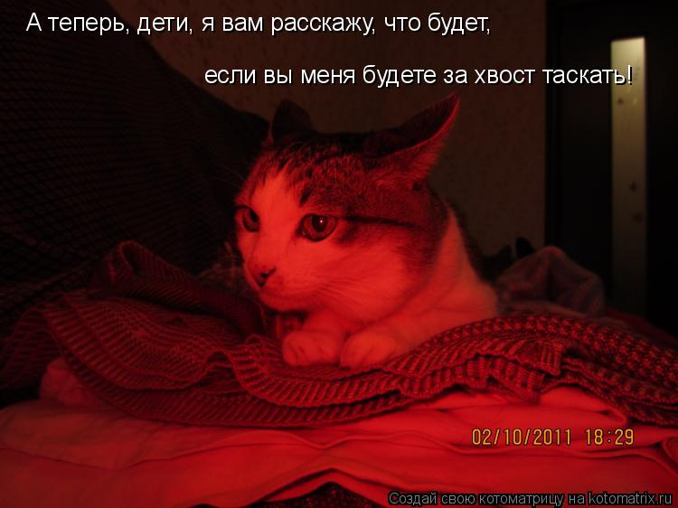 Котоматрица: А теперь, дети, я вам расскажу, что будет,  если вы меня будете за хвост таскать!