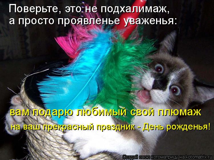 Котоматрица: Поверьте, это не подхалимаж,  а просто проявленье уваженья: вам подарю любимый свой плюмаж на ваш прекрасный праздник - День рожденья!