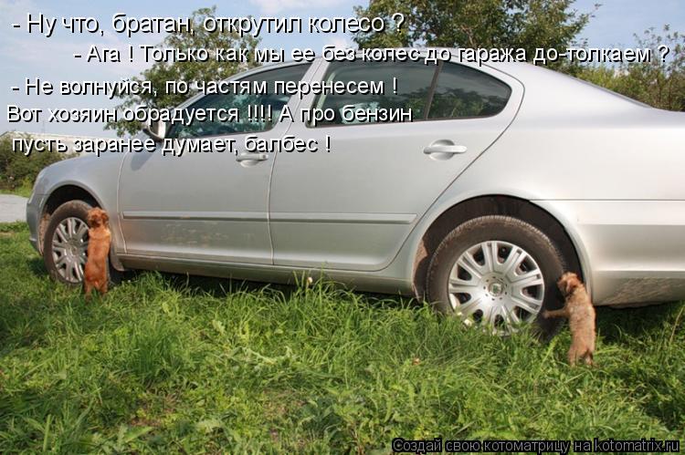 Котоматрица: - Ну что, братан, открутил колесо ? - Ага ! Только как мы ее без колес до гаража до-толкаем ? - Не волнуйся, по частям перенесем ! Вот хозяин обрад