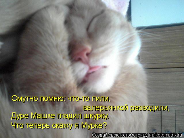 Смутно помню: что-то пили, валерьянкой разводили, Дуре Машке гладил шкурку. Что теперь скажу я Мурке?... Котоматрица: Смутно помню: что-то пили, валерьянкой разводили, Дуре Машке гладил шкурку. Что теперь скажу я Мурке?