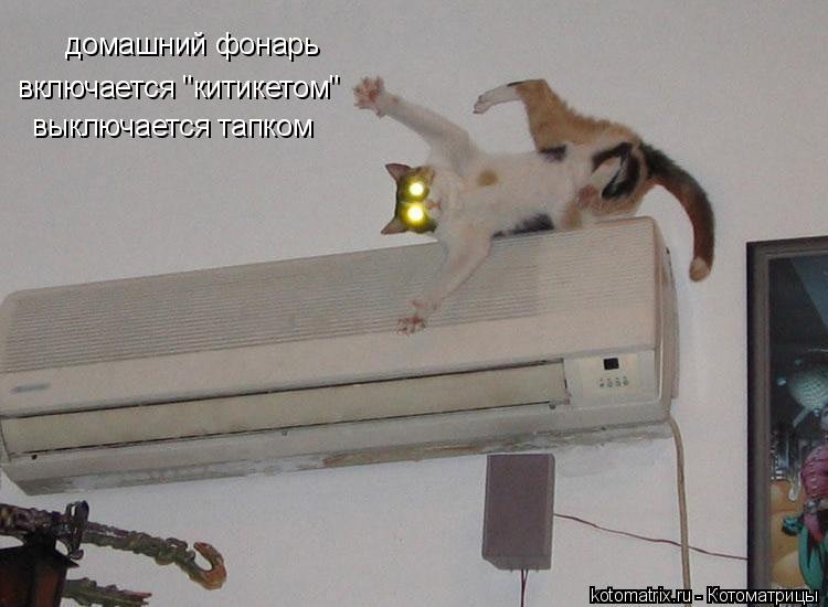 домашний фонарь включается "китикетом" выключается тапком... Котоматрица: домашний фонарь включается "китикетом" выключается тапком