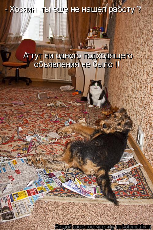 - Хозяин, ты еще не нашел работу ? А тут ни одного подходящего объявления не было !!... Котоматрица: - Хозяин, ты еще не нашел работу ? А тут ни одного подходящего объявления не было !!