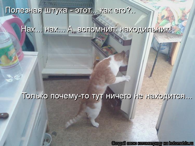 Котоматрица: Полезная штука - этот... как его?.. Нах... нах... А, вспомнил: находильник! Только почему-то тут ничего не находится...