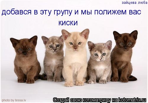 Котоматрица: добався в эту групу и мы полижем вас киски зайцева люба