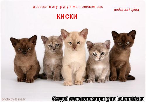 Котоматрица: добався в эту групу и мы полижем вас  киски люба зайцева
