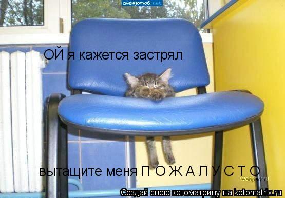 Котоматрица: ОЙ я кажется застрял вытащите меня П О Ж А Л У С Т О