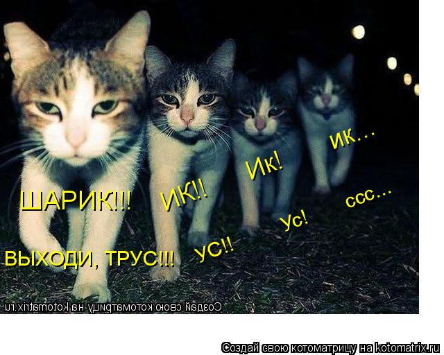 Котоматрица: ШАРИК!!! ИК!!      Ик!       ик... ВЫХОДИ, ТРУС!!! УС!!         Ус!       ссс...