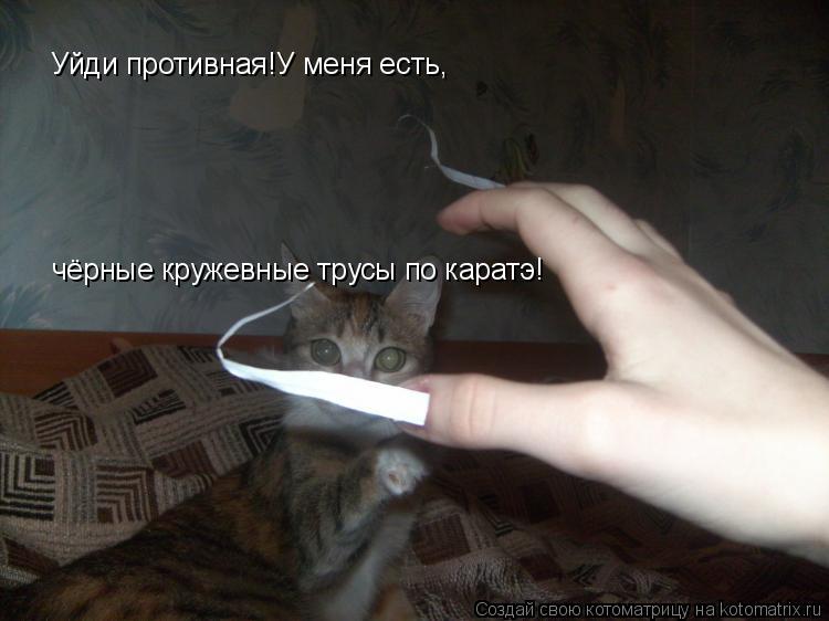 Котоматрица: Уйди противная!У меня есть, чёрные кружевные трусы по каратэ!