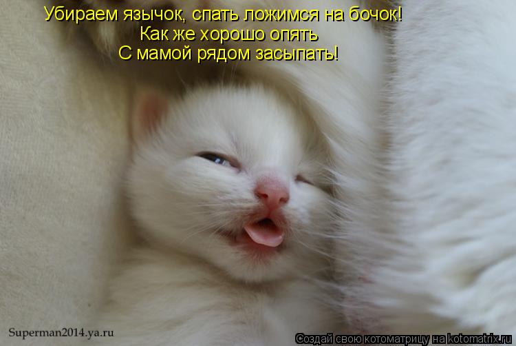 Котоматрица: Убираем язычок, спать ложимся на бочок! Как же хорошо опять  С мамой рядом засыпать!
