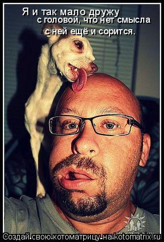 Котоматрица: Я и так мало дружу с ней ещё и сорится. с головой, что нет смысла