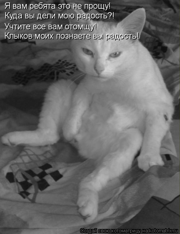Котоматрица: Я вам ребята это не прощу! Куда вы дели мою радость?! Учтите все вам отомщу! Клыков моих познаете вы радость!