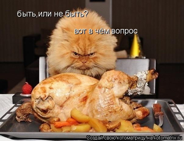 Котоматрица: б ыть,или не быть? вот в чём вопрос вот в чём вопрос