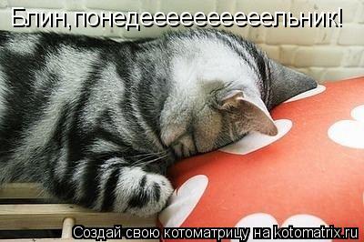 Котоматрица: Блин,понедеееееееееельник!