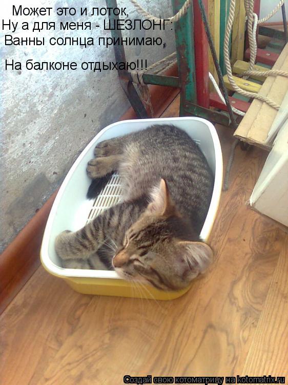 Котоматрица: Может это и лоток, Ванны солнца принимаю, На балконе отдыхаю!!! Ну а для меня - ШЕЗЛОНГ: