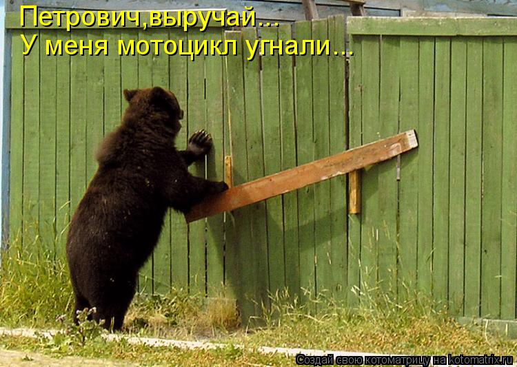 Петрович,выручай... У меня мотоцикл угнали...... Котоматрица: Петрович,выручай... У меня мотоцикл угнали...