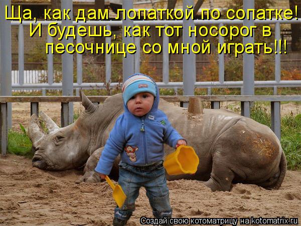 Котоматрица: Ща, как дам лопаткой по сопатке! И будешь, как тот носорог в  песочнице со мной играть!!!