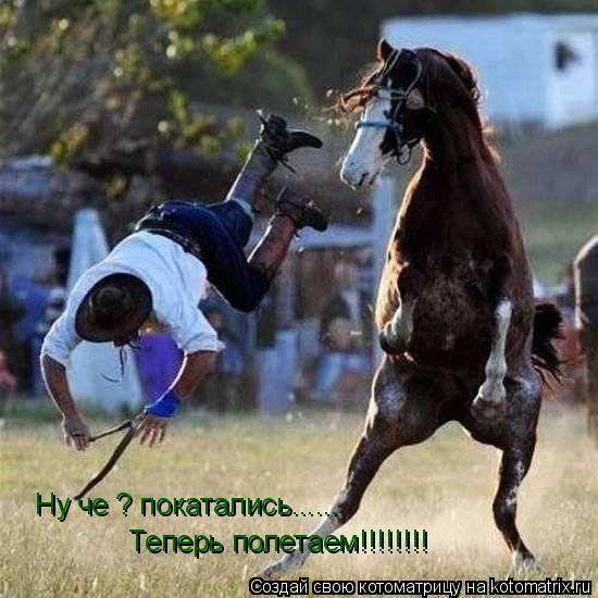 Котоматрица: Теперь полетаем!!!!!!!! Ну че ? покатались......