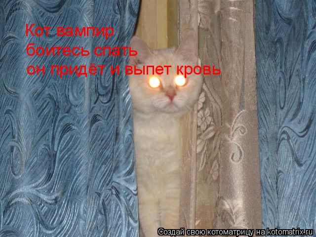 Котоматрица: Кот вампир боитесь спать он придёт и выпет кровь