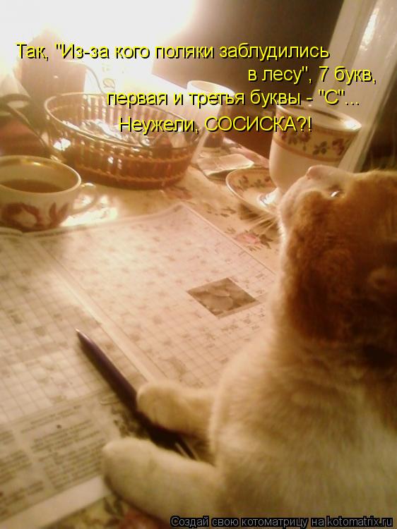 Котоматрица: Так, "Из-за кого поляки заблудились  в лесу", 7 букв, первая и третья буквы - "С"... Неужели, СОСИСКА?!