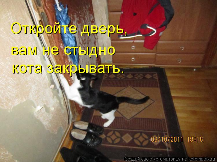 Откройте дверь, вам не стыдно кота закрывать.... Котоматрица: Откройте дверь, вам не стыдно кота закрывать.