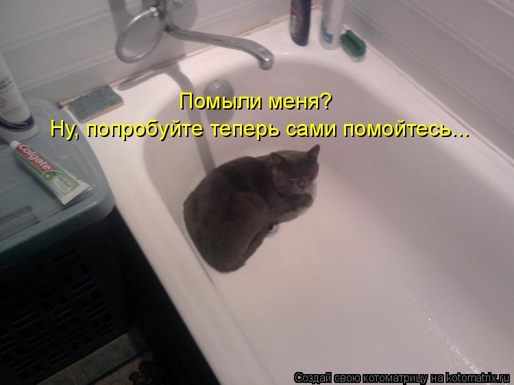 Котоматрица: Помыли меня? Ну, попробуйте теперь сами помойтесь...
