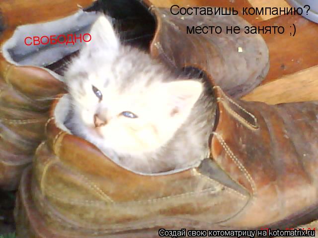 Котоматрица: Составишь компанию? место не занято ;) СВОБОДНО