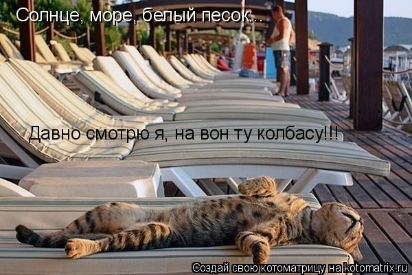Котоматрица: Солнце, море, белый песок... Давно смотрю я, на вон ту колбасу!!!