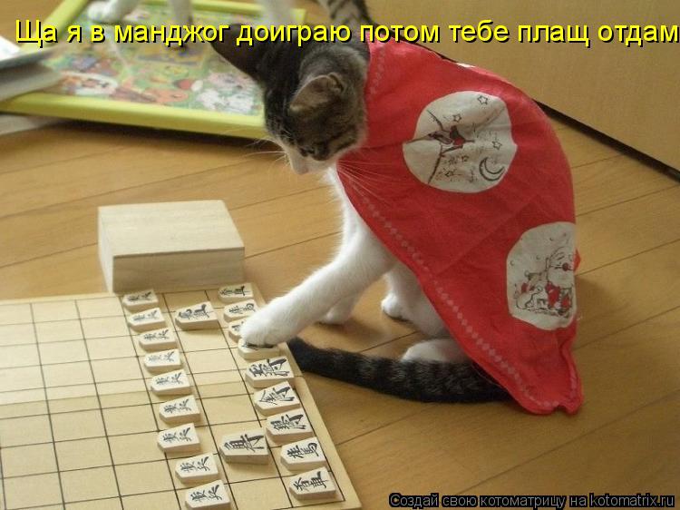 Котоматрица: Ща я в манджог доиграю потом тебе плащ отдам