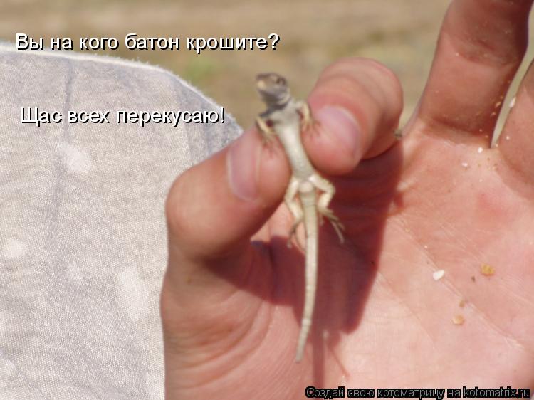 Котоматрица: Вы на кого батон крошите? Щас всех перекусаю!