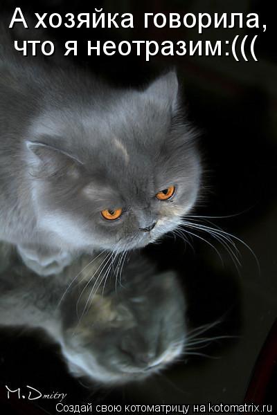 Котоматрица: А хозяйка говорила,  что я неотразим:(((