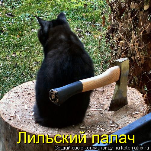 Котоматрица: Лильский палач