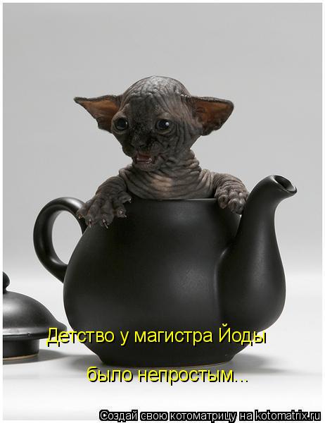 Котоматрица: Детство у магистра Йоды было непростым...