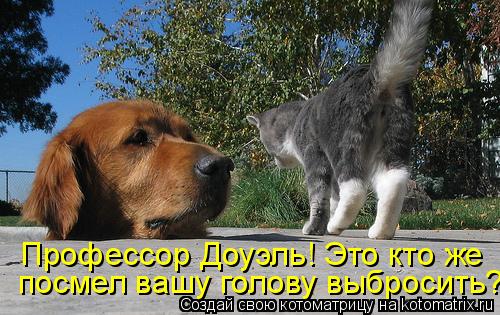 Котоматрица: Профессор Доуэль! Это кто же посмел вашу голову выбросить?
