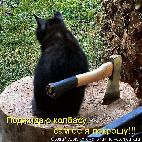 Котоматрица: Поджидаю колбасу,  сам её я покрошу!!!