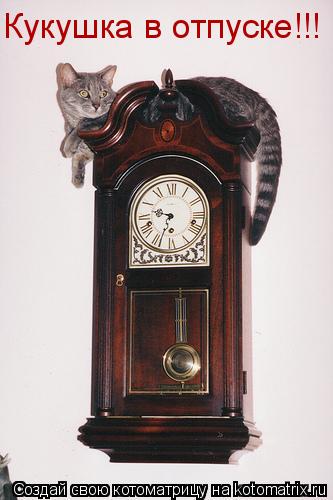 Котоматрица: Кукушка в отпуске!!!
