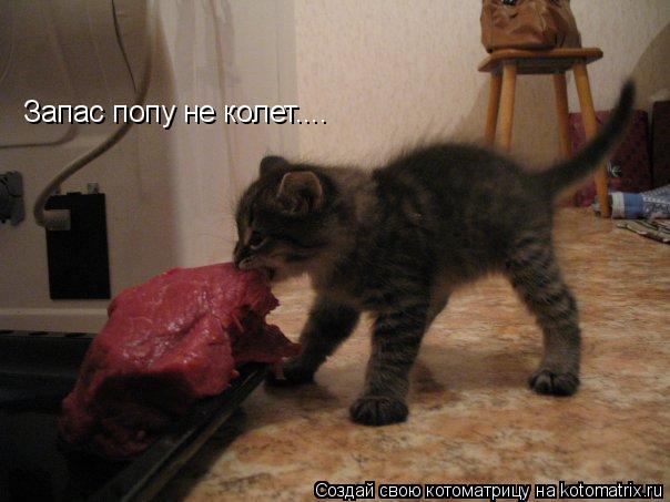 Котоматрица: Запас попу не колет....