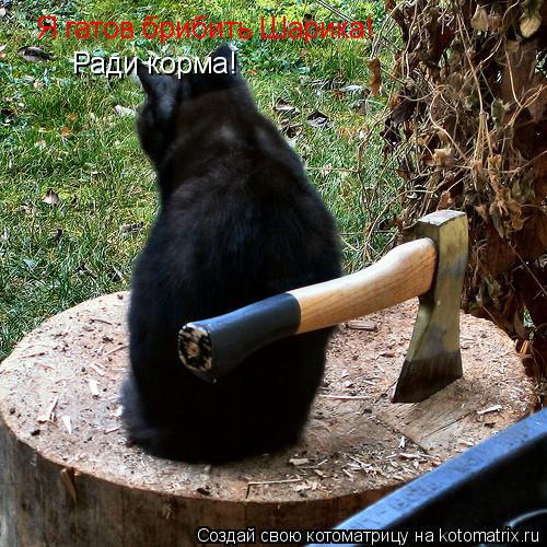 Котоматрица: Я гатов брибить Шарика! Ради корма!